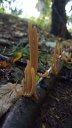 99709a7f-7d89-4bfd-a961-c27fb79da7d9