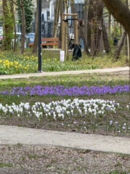 164a6052-22f9-462c-8302-38bab14b4aa2