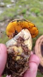 854bee9e-3263-451c-b003-42a4748ed6e4