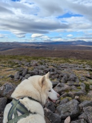 6423a19a-1cb2-4d7d-8922-2311ddcb5688