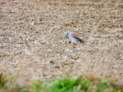 948dc22d-1326-44b3-be76-1eab302e5ad6