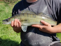 23eb59c1-e77e-409f-9fc6-ddec9f7ef0f4