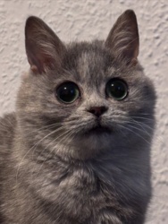 012f074a-ae89-4d6c-9bb2-c50e82878004