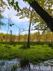 35e49027-fca1-46a3-ba9d-cee7dff7e7ba