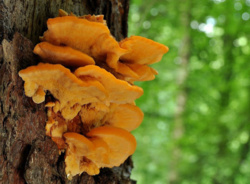 3739f11b-e51b-45d1-9bed-14a7927c7ab5