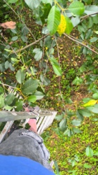 a298e6da-f7bd-4927-a54d-38fda41cd1b0