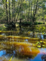 f3b107d1-3512-4ce4-ae61-80d033f9faba