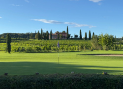 d70cfdc8-0c8e-49b2-8568-19389d835e76