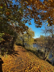 75e020ef-7790-401f-b456-c60a800085e9