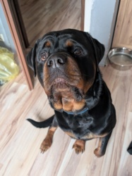 dd458ca0-8896-4e1e-a0e5-90a8aaaacc10