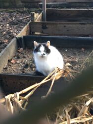 e95950be-ecb9-49ef-9ca2-9539742feefa