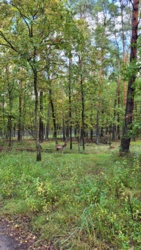 1c2a91ca-f291-4300-bd2d-cceea5d67dda