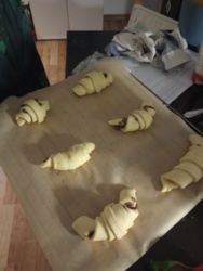 bf028d93-cff8-4580-a180-327e79c52a09