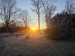 fa406099-b9e2-45b2-af38-bb190df17922