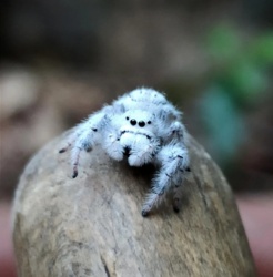 32ab3b1a-b5c5-403d-aa20-3c8e7e211775