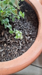 61156949-218b-45b2-8993-ea4f79b3703d