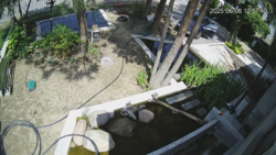 d5997689-a5db-4ece-8b1d-45afe8da2867