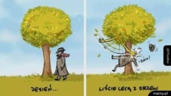 5c1b1d30-36a5-4b92-bd77-127f2d2dbc7b