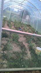 1ea5e3ea-3967-46b6-95a9-3a11bebdd649