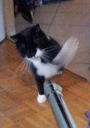 cd1eeaab-794d-4a07-97b5-16092ff571e0