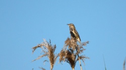 327fb9c1-4751-41e9-93c2-f477f0f02d48