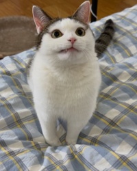 972aa6ba-b269-4cd4-87dc-9b9521663be4