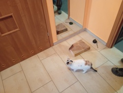 1d5f1849-dde2-4515-a757-960c1d4beac9