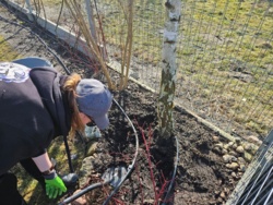 ac59f72c-fe02-481e-914a-7ce7feafb6b4