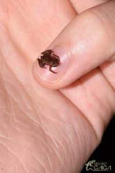 0e2b6f47-3728-4005-8ef1-460f5641ce53