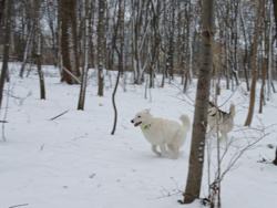 6de08dfc-d4d9-4d8f-8eba-7385a709fdf1