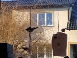 9159e6ca-b985-4861-bda9-71316c38973e