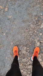 cfaefaa1-0b66-4775-8b97-61c6efb30af3