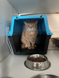 10b0b65b-742a-48a8-b644-39acdf7c4d27