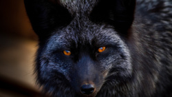 7a362a2b-0429-4b8f-9ee3-20b1e5c99193