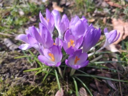 b7ac2ce6-872f-4eb4-a069-7afbaad58c8e