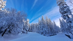 883d8b74-4292-4350-ad15-7a4f1a154ef3