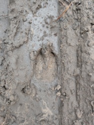 b58aca9f-3319-48b2-aad1-2ee69ffb0827