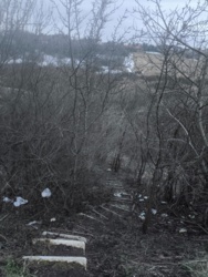 d5d99d74-35af-4cb5-9966-364b83955aac