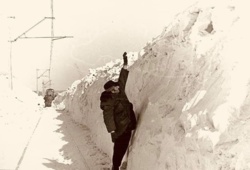 0787b98f-d2c6-4b60-862f-745b4e95ab4a