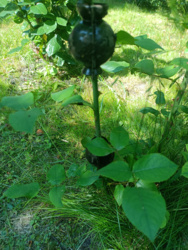 77a44c37-5588-4109-8066-faba68a17bfe