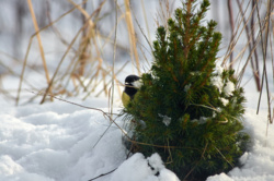 658919be-7016-4385-81ec-9beeb6f25c95