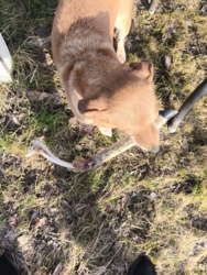 1d6945b6-0b02-46f6-8463-46d7cbbf0afe