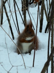 8b8697a1-7c10-4c63-9483-de5e36568bee