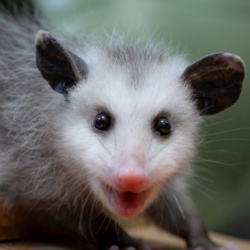 54f6ff7b-018b-4c40-8170-b2933d64518d