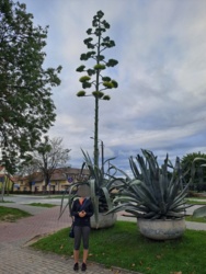 0c9e93c2-d895-4670-886c-d082091d0bd4