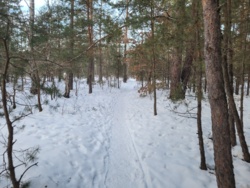 5d624458-05e6-4a78-b503-7d9a584cd316