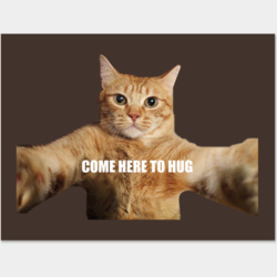 d6ae003a-3f6e-4fd1-b4b5-8c0d3a9ffbd1