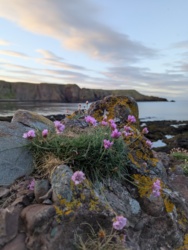 5cec21f8-5170-4266-800b-17dc255a719c