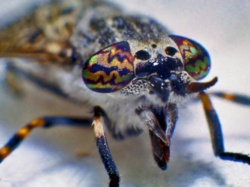 404cefaf-1d63-410e-a470-3ff77d38dad3