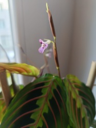 80bcf17f-3fc7-4ce8-b740-7b43a93e00ba